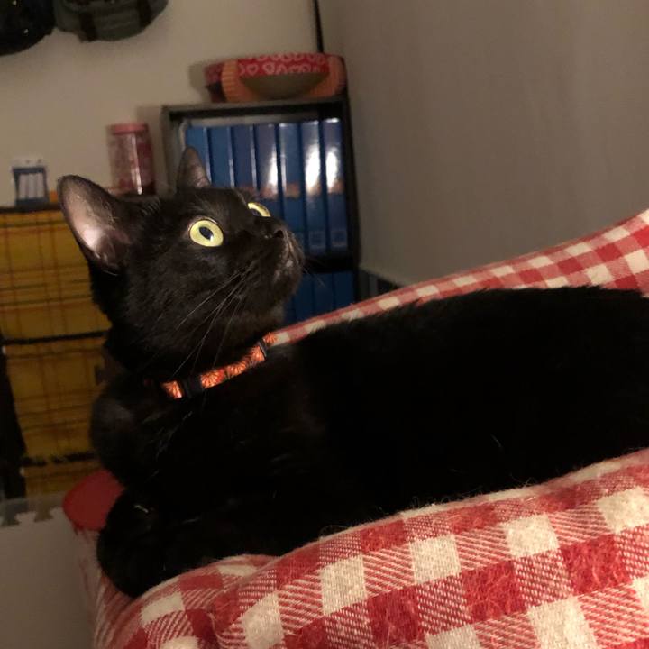 E188c117 2e8b 4b5e ac53 3004ee621293 1565961497879