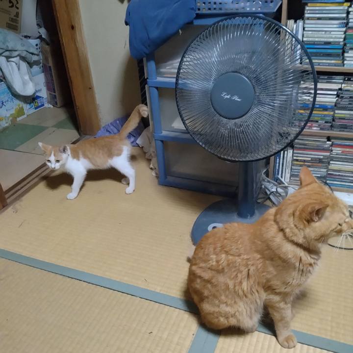 E188df96 4dd0 4a27 a198 42a69fd9ba38 1725183931048