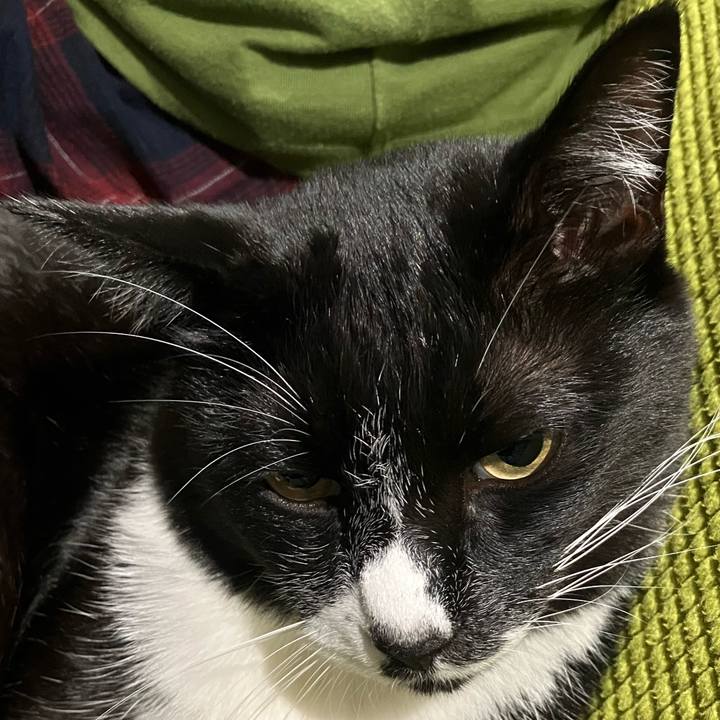 E188e6d1 f9ba 4e2b 8c5d 01c2b714fd13 1735980720312