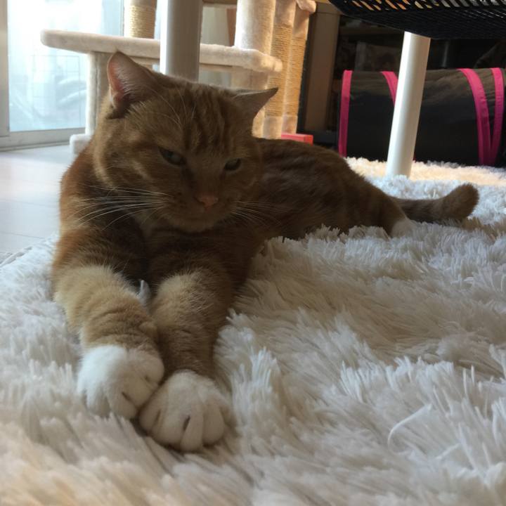 E188ea4c f7ea 4f58 a315 8dde390c6fcb 1535327264354