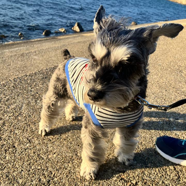 E188f97c d022 4766 a20a 88e13a5fb3cc 1772029944264