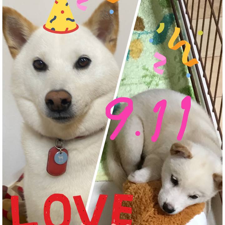 E1891761 9afc 40aa a605 f3579ee9a451 1662894569935