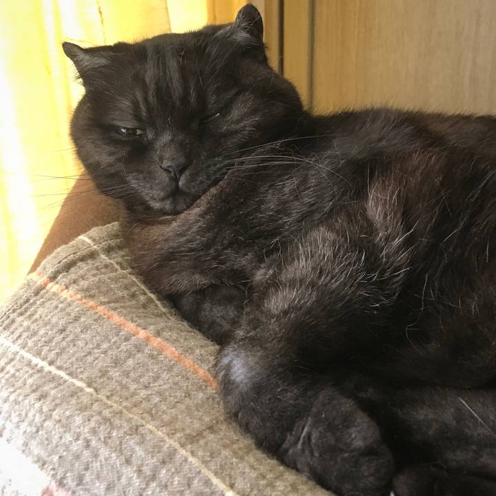 E189784a 3ee1 4400 a310 35210973637c 1588419648350