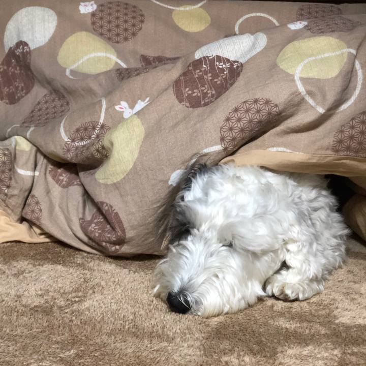 E189b861 23c8 4bbb a45a cd3a694c1aa0 1580370548955