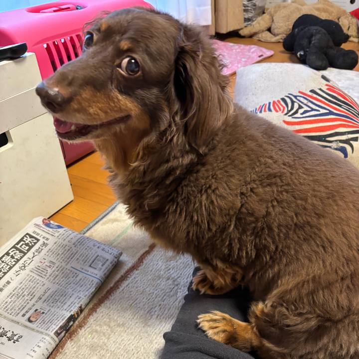 E189bf89 f1bf 46ac bea9 5acd19e805c5 1734215010044