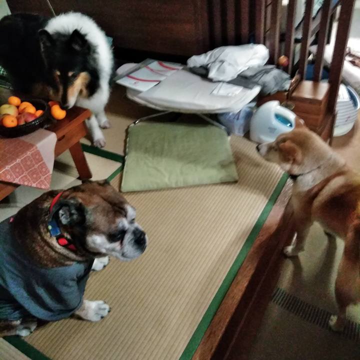 E189e29b 4573 4a19 b264 6ef61fa99382 1546001880446