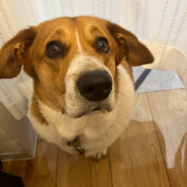 E189ec8e 3420 45d4 a070 3456a6c9aa69 1669468870278