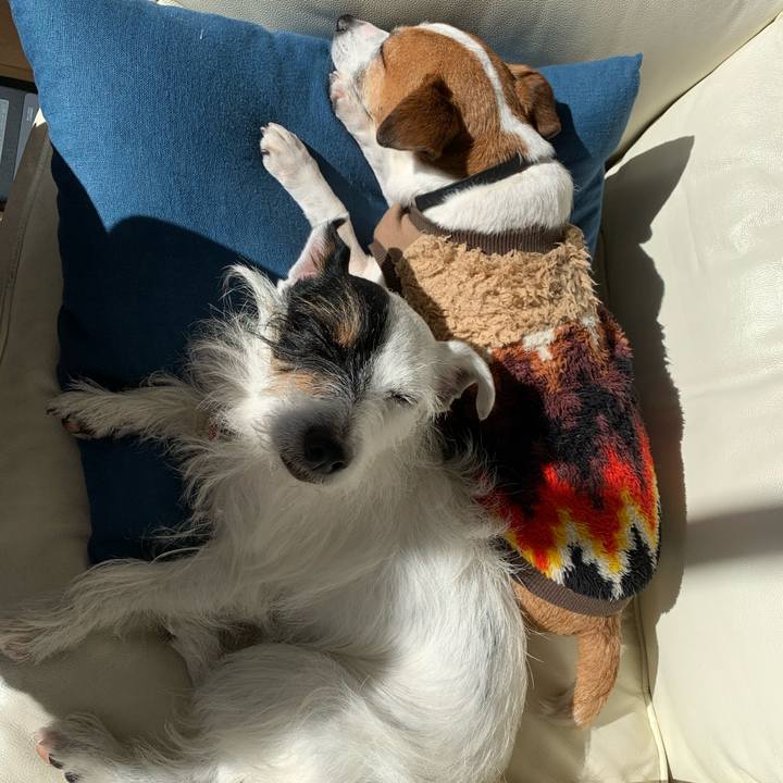 E18a1a66 3d82 46a3 b398 786499ba374b 1609559402291