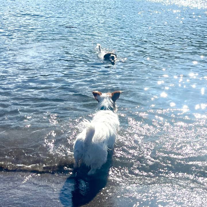 E18a7d90 f3c4 4ed0 bb9a 3df3c2593426 1762272505465