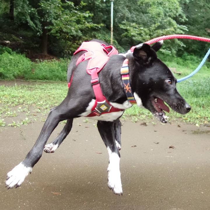 E18a84a0 5f01 487f 8269 54bbe79a7d3b 1596155033972