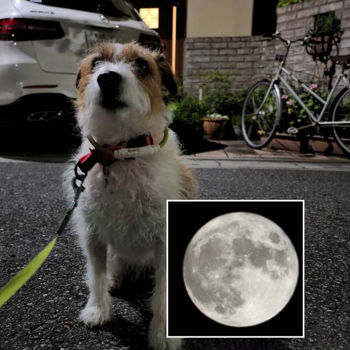 E18a9cd4 90fe 440a 93a2 44ad2ccb7c2b 1662818747470