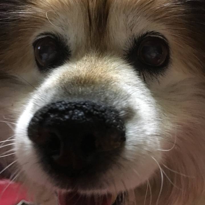 E18af2cd 30f3 4796 86c8 9d67663e8191 1559987259771