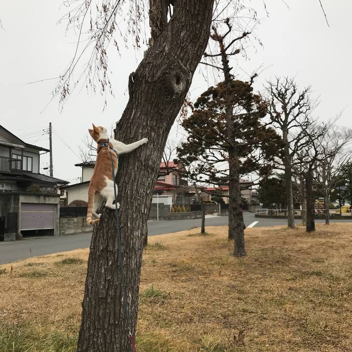 E18af559 fd19 49cf 846b cebf92d472c9 1516601223774