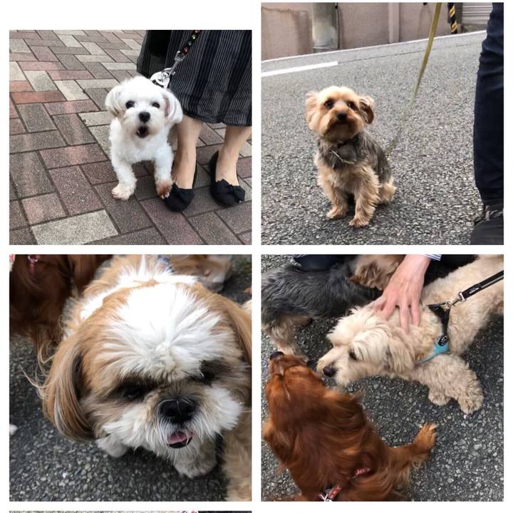 E18b46a8 97af 4009 9c23 aa7b5ab62199 1560944297459