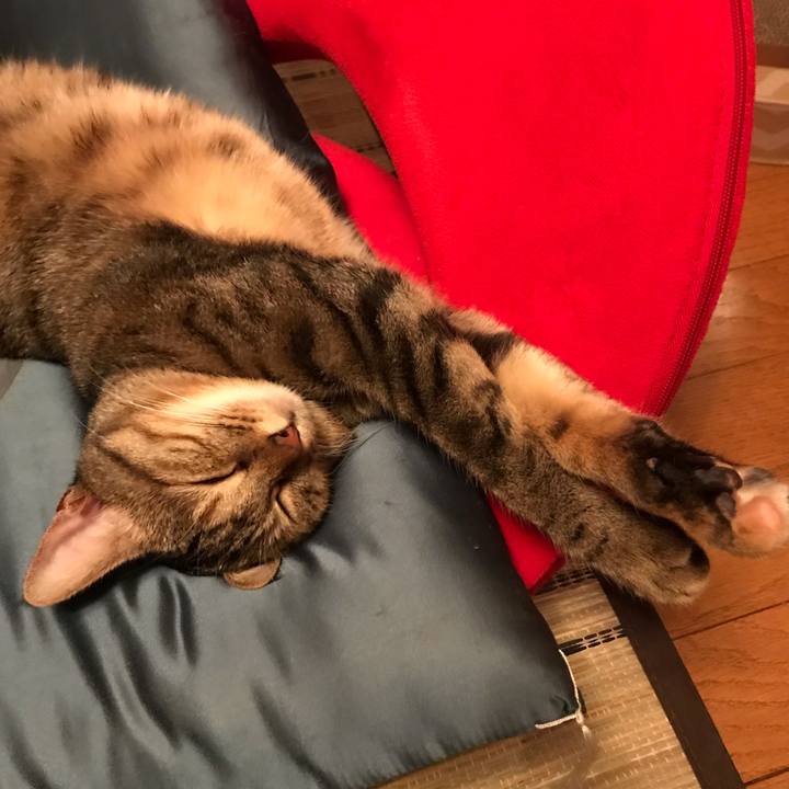 E18b47a7 75db 4c3d 8751 8c1c0942a6b4 1596974081675