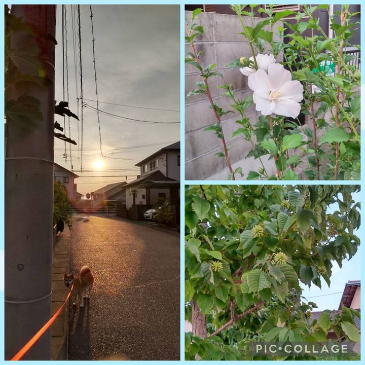 E18b8ec0 d768 4146 bf84 55f9576c0586 1757285938615