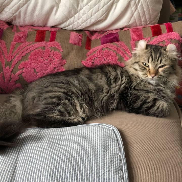 E18bc7c7 be24 4e10 9eb6 2d83c4cc92ff 1597619709546