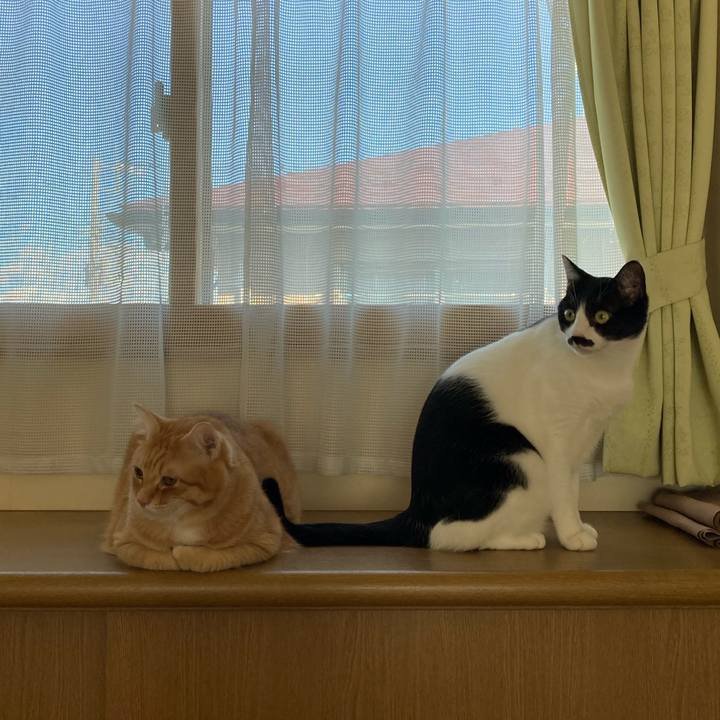 E18bd198 d5b6 4af3 8c94 3a43132d2205 1767615446813