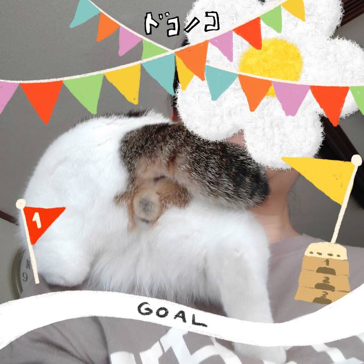 E18c3e6d 43a9 4d44 9bc5 69c0e1f04a26 1729075922938