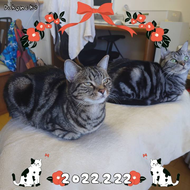 E18ca76e f657 49ba a89b 1a9c4f13ca97 1645535185245