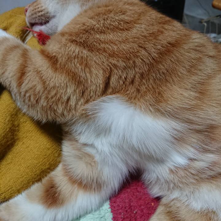 E18cd8e2 0a4d 4e1e 892c 5a29faa0048d 1573556921951