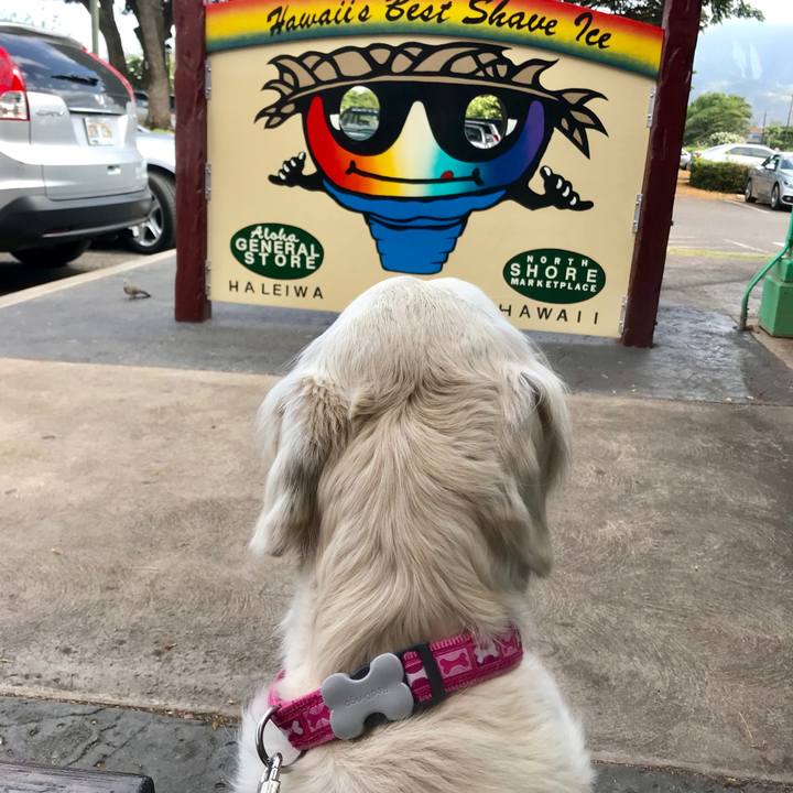 E18cf620 def9 4397 b9f3 13a3137e7b17 1533377964043