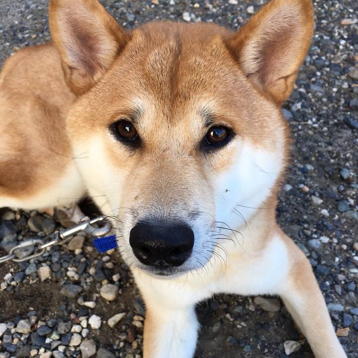 E18d2ca0 fba5 455b a7cc ba76b0355664 1535287183077