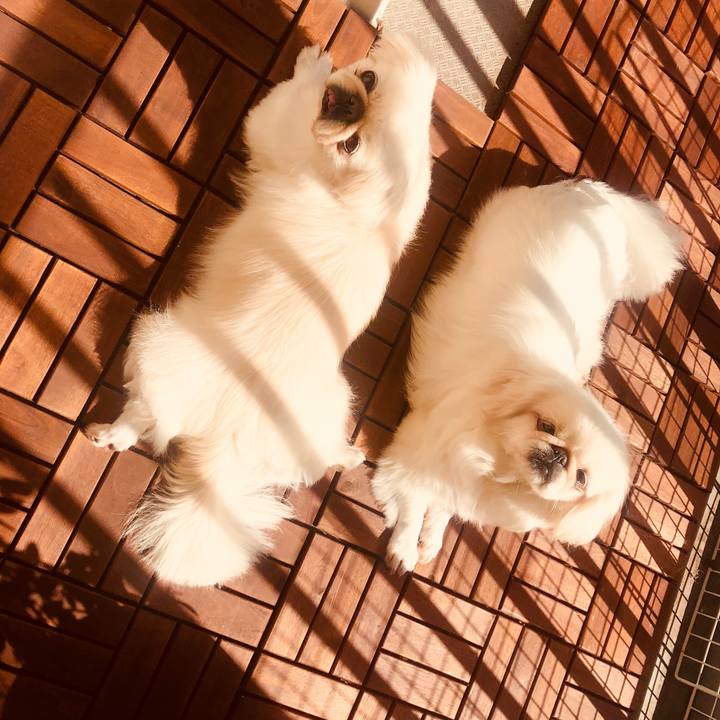 E18d7ec3 2905 4d1e bb85 e6d82ad46a55 1550292221299