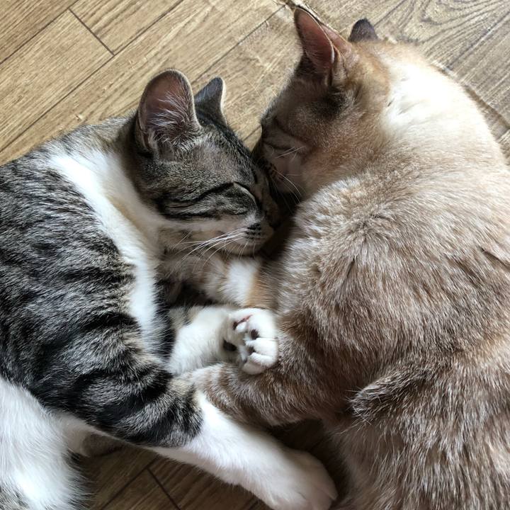 E18d8106 8f7b 4d74 8096 0f8945999fd3 1649251233111