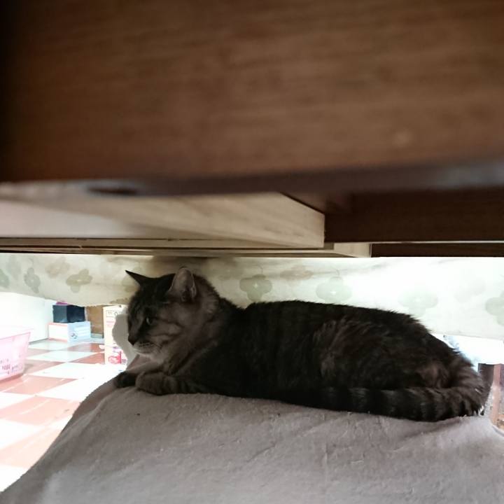 E18d9bf2 4261 446d b1b3 590c8d28e178 1573857692608