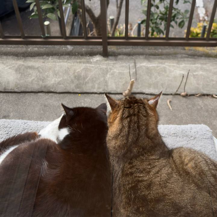 E18dd376 f70d 4d52 87b5 e99566293e98 1774583131390