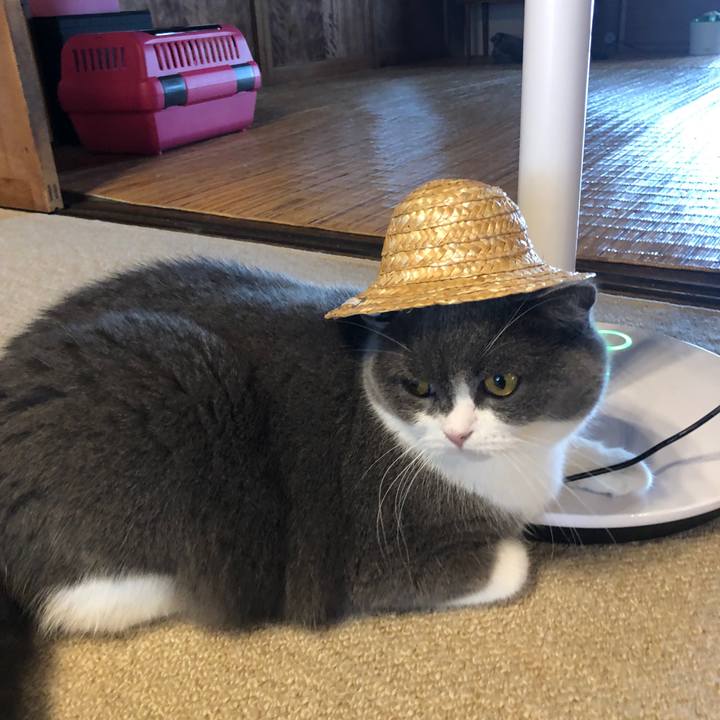 E18de271 0120 43f2 90a2 25fc34d8dbd4 1597041034617