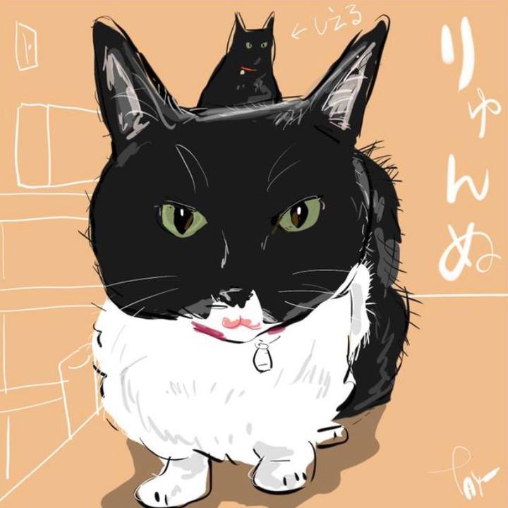 E18e05c1 05aa 43af adae b22faaf9405b 1695391902568