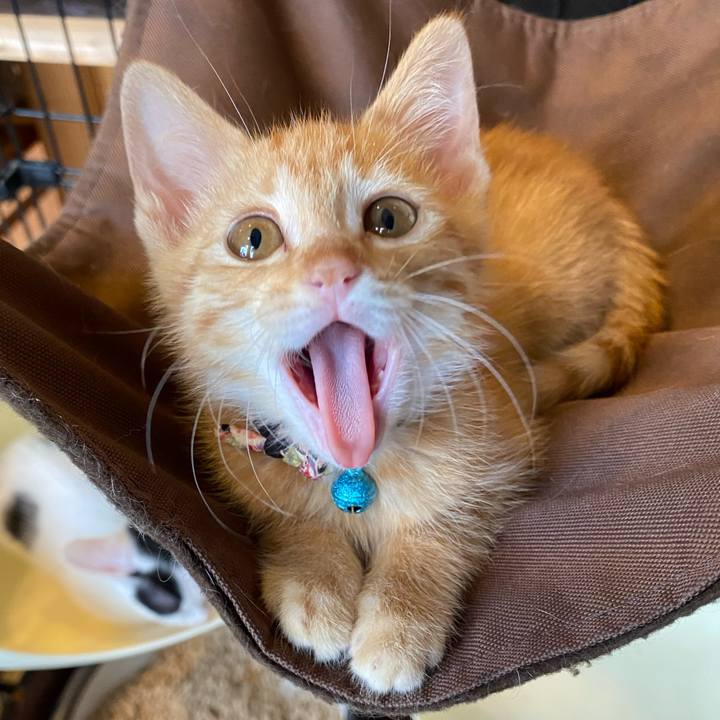 E18e0d73 d1eb 4c47 9f00 2ab9b737814c 1750578994685