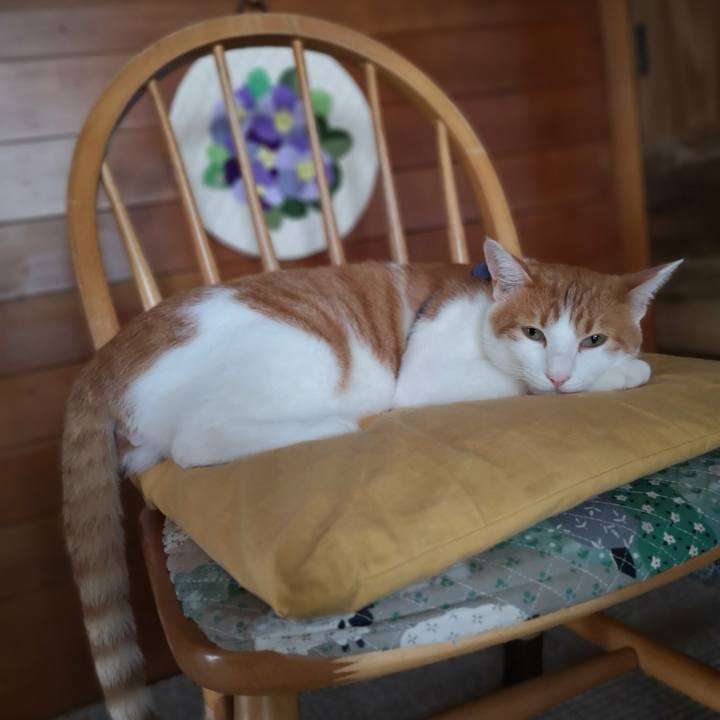 E18e1330 988a 4e66 ac3c b05c3a48a8cb 1532254845562