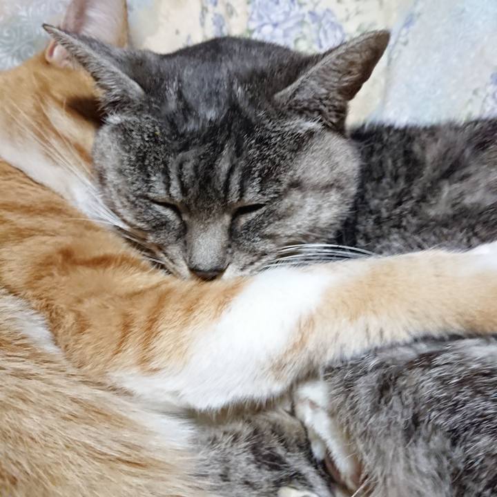 E18e16e8 50db 4b99 afe7 fb52ec82ccaa 1575290424304