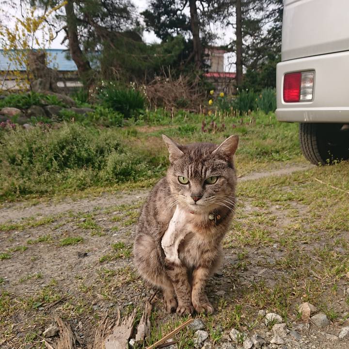 E18e2dcd 7206 405c b476 70480d357fdc 1588288622465