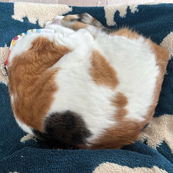 E18e3823 dcb1 48c1 a968 136398f52abd 1769312809434