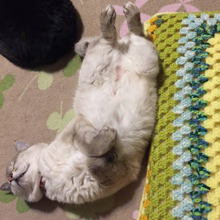 E18e5be8 61bc 4841 a8f1 469653a76ae4 1550056131333