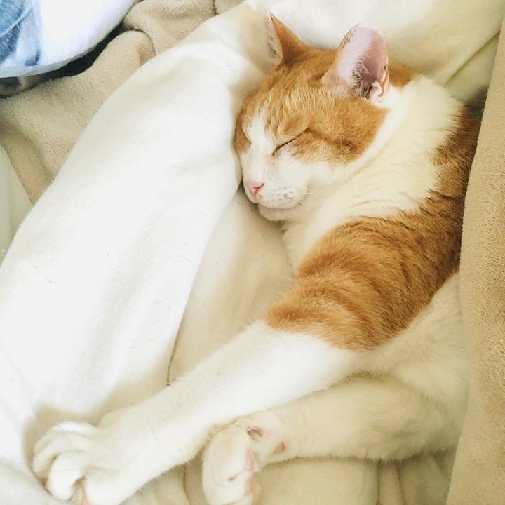 E18ece59 72ae 461a 9523 947978d79eaf 1586144921525