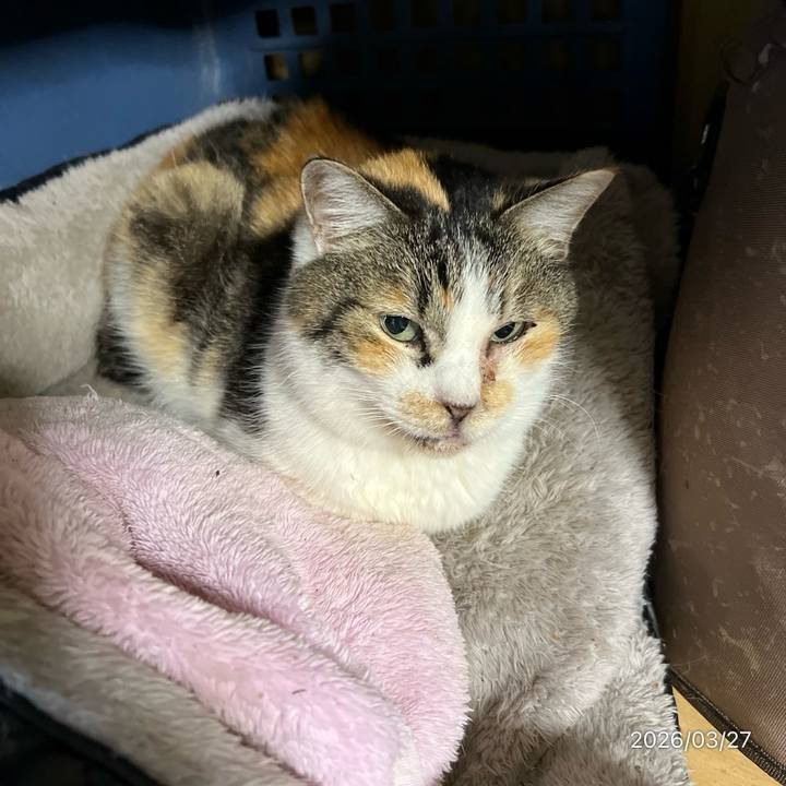 E18efb17 e351 4701 9e40 e60da0e35896 1774562870305