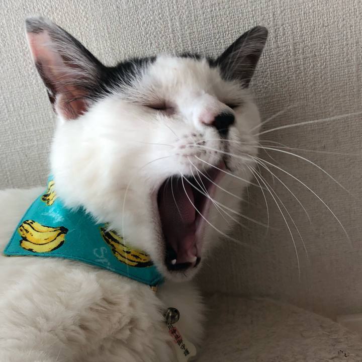 E18f0319 b005 480b ab19 11af639f7b29 1531635587365