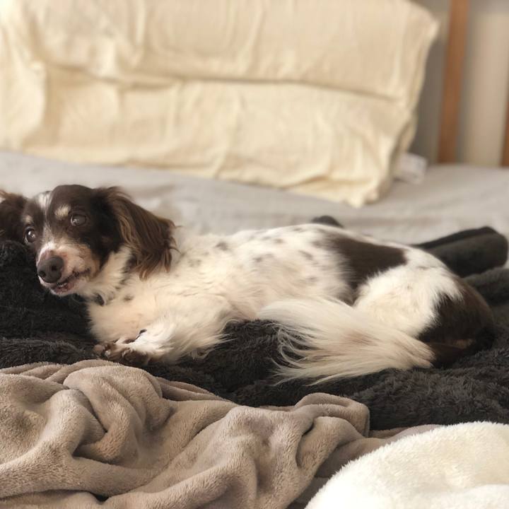 E18f4f30 9b49 4563 a9f3 23bed8761795 1552799109015