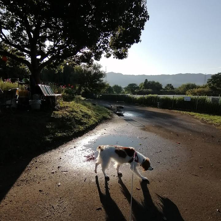 E18f5ba8 2c11 460a 8b4a c43ccbe63a17 1601511331673