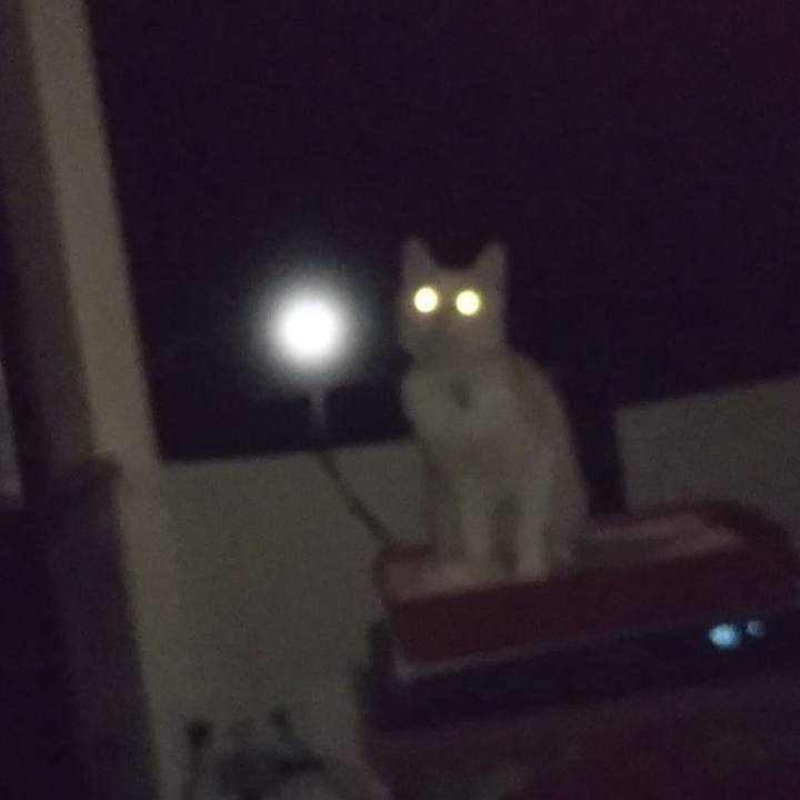 E18fea2f 24ff 4788 a6c8 928d25ec4424 1624672764141