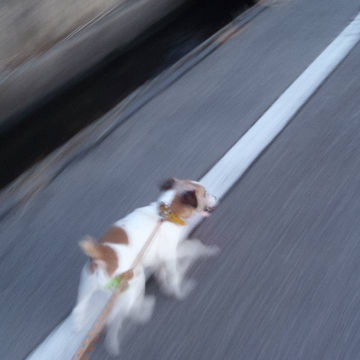 E18feb54 28b1 42f7 8285 25ffae4a3685 1516437489876