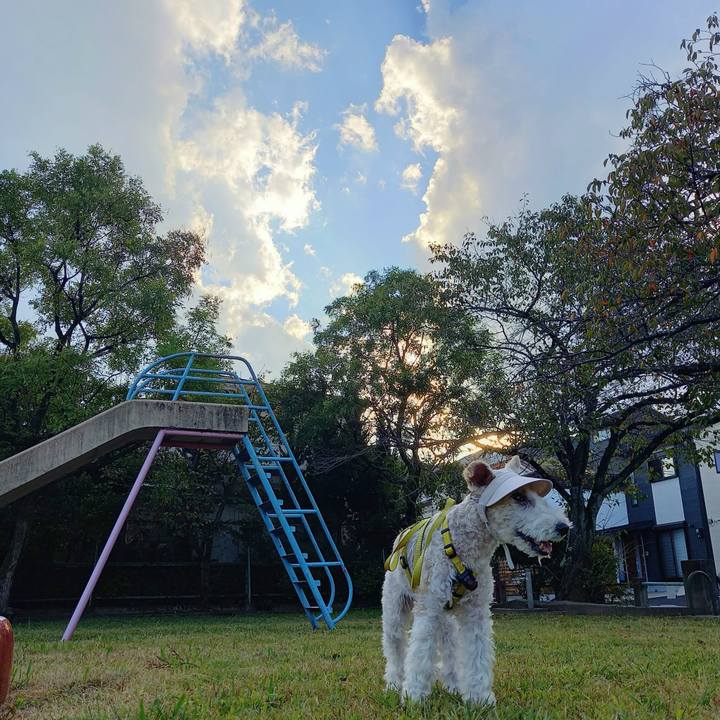 E18ff668 ebd8 4d68 bdfc ea3b9cfd9c8e 1665922548248