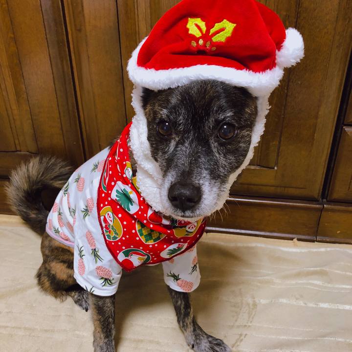 E1903520 ef72 4125 bf7d bc0bf20cc319 1608770811966