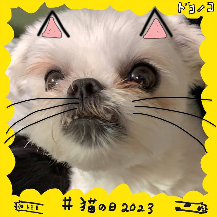 E1906a82 4295 410f 9c91 affa607f17d7 1677065624698