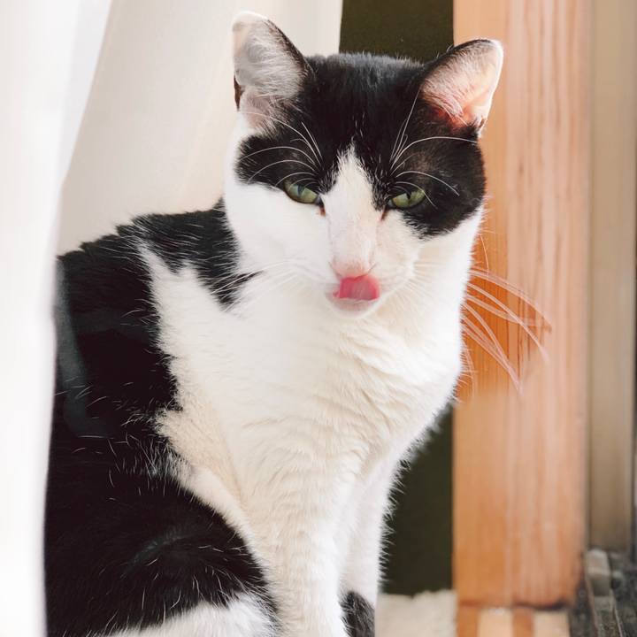 E190724d 3744 4fd7 a4c2 ed4be421c7d3 1555553788515